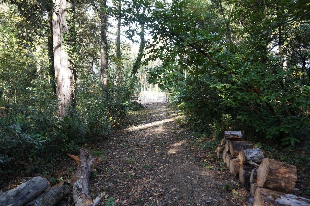 PennautierLe Clos Des Troubadours住宿加早餐旅馆 外观 照片