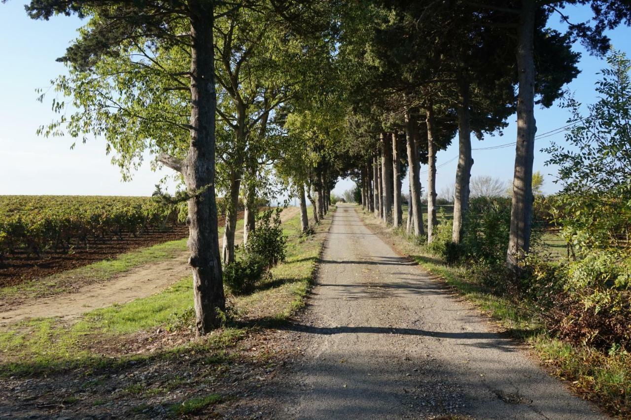 PennautierLe Clos Des Troubadours住宿加早餐旅馆 外观 照片