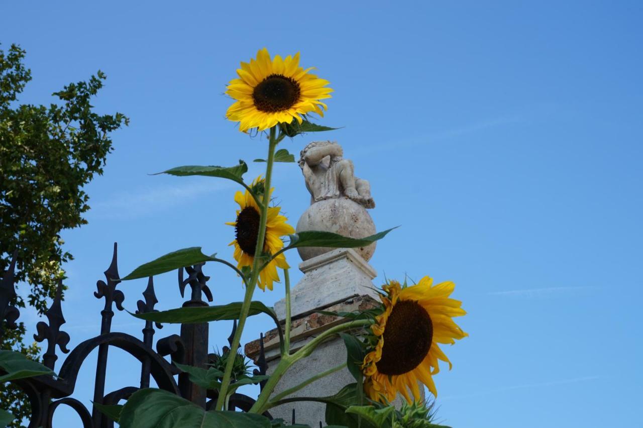 PennautierLe Clos Des Troubadours住宿加早餐旅馆 外观 照片